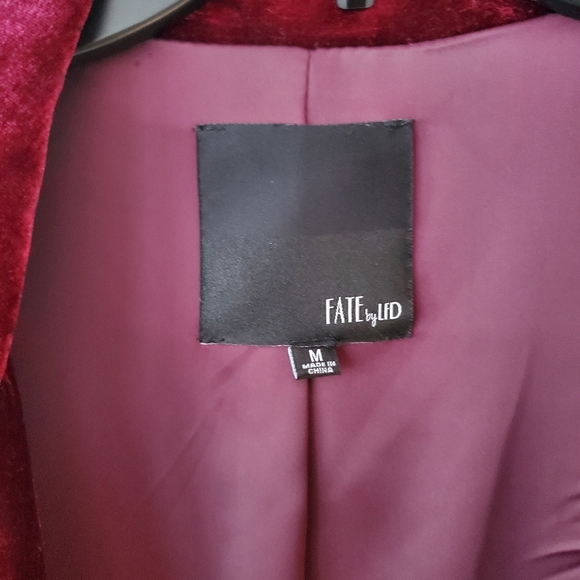 Cranberry Velvet Blazer - Picture 4 of 5